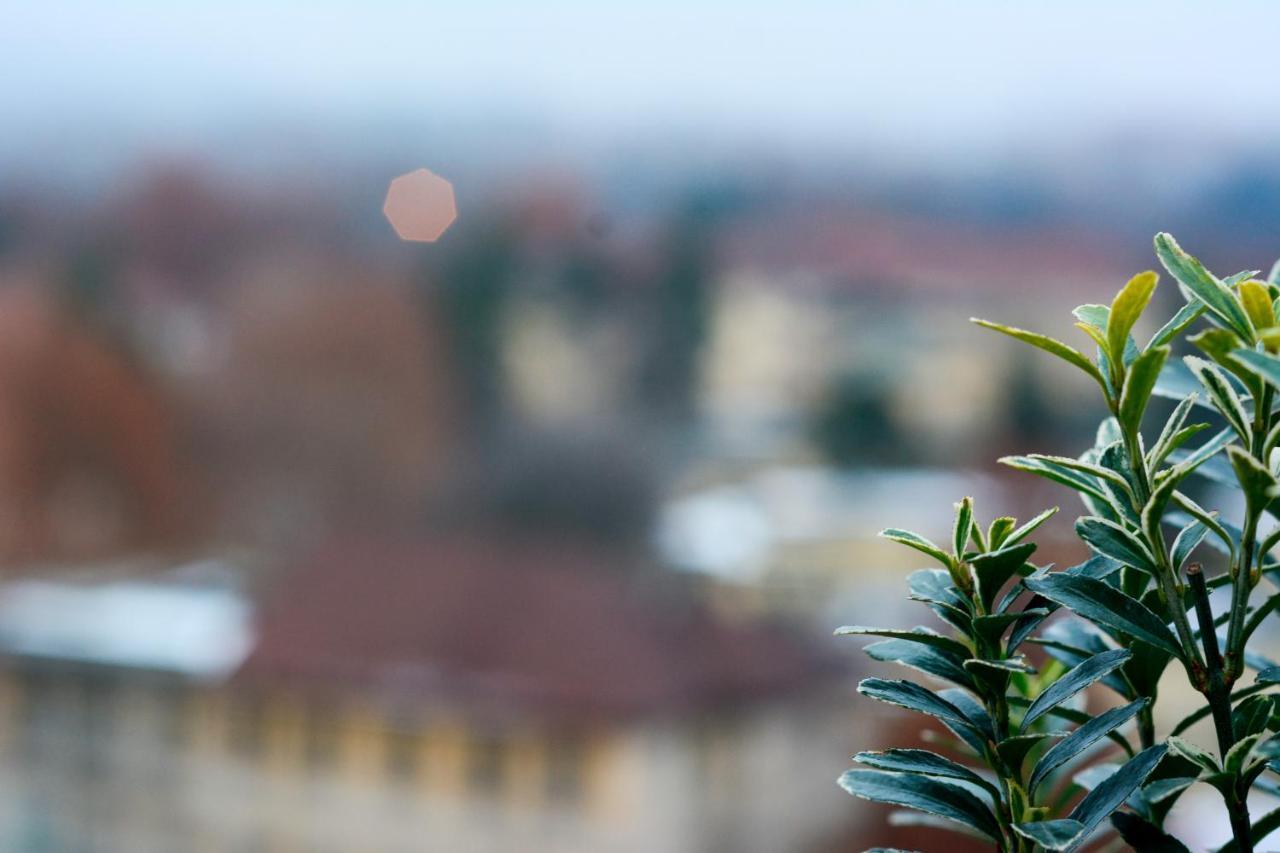 Sunny Side I Turin Suite Turim Exterior foto